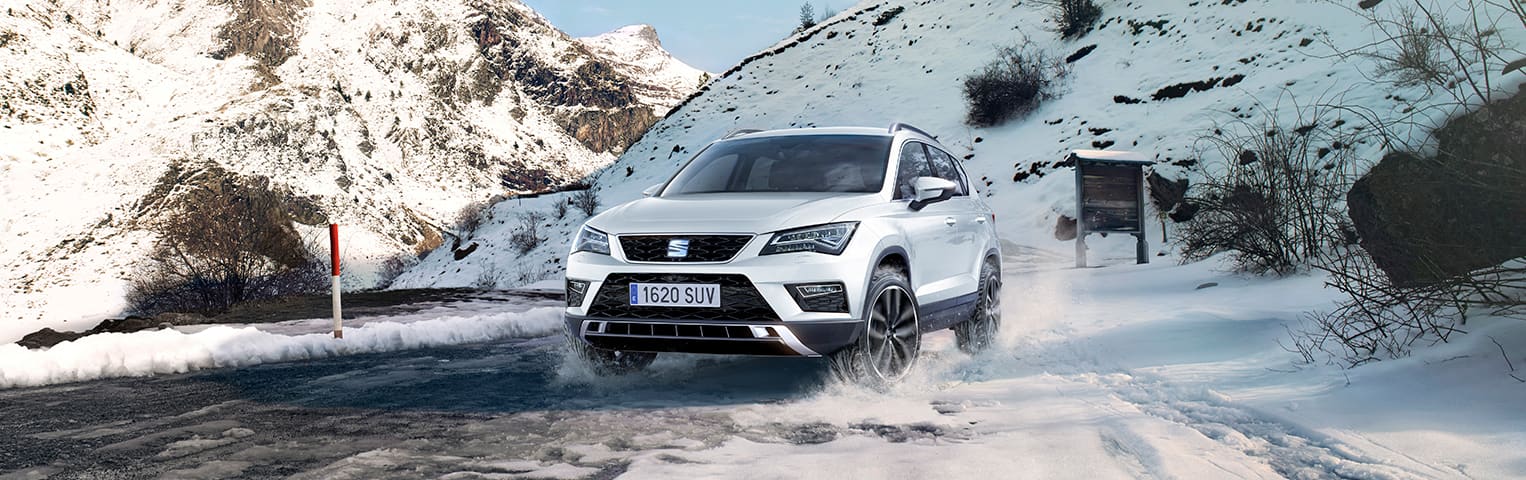 Catene da auto per Seat Ateca